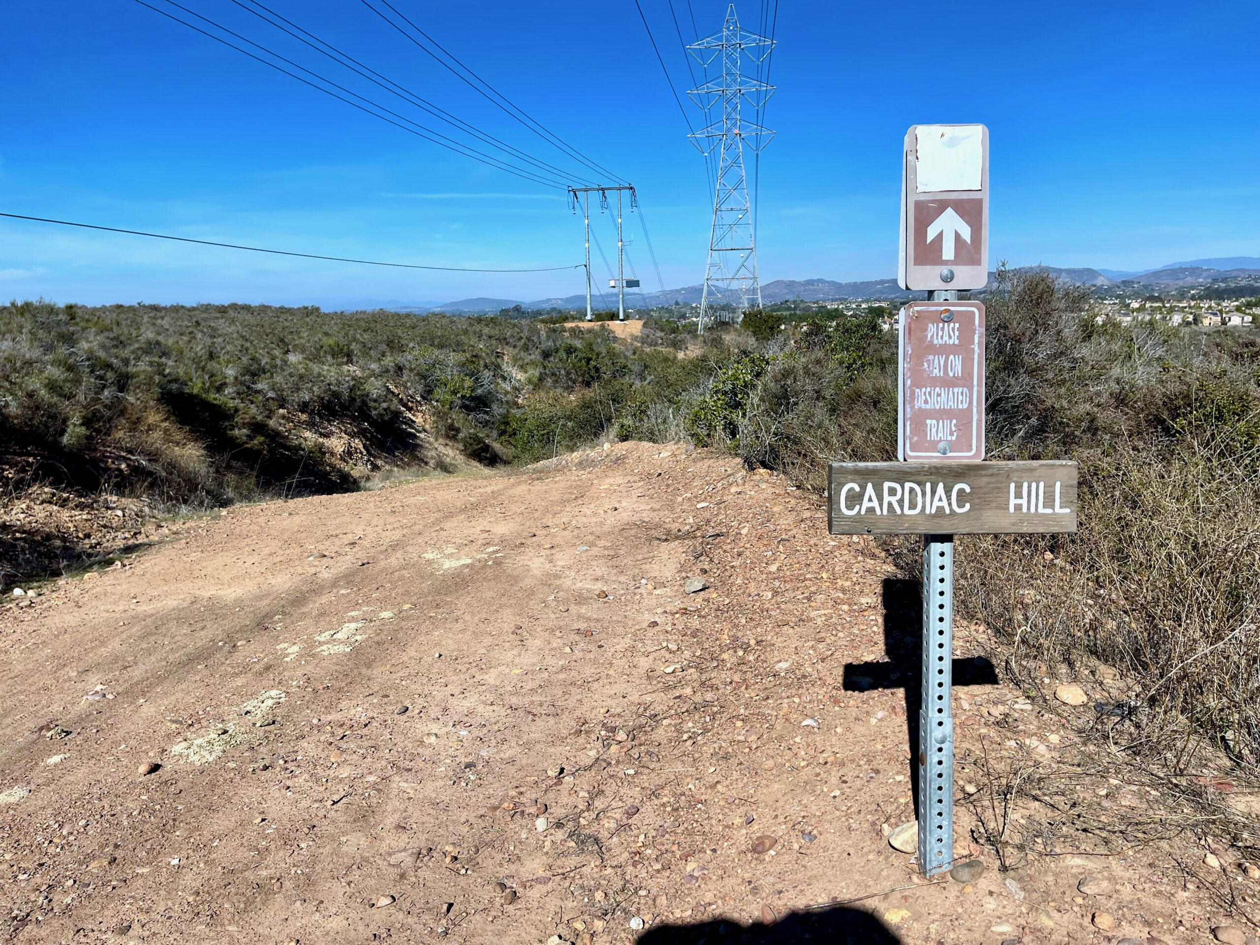 JV Action Colnago C68 gravel review Car